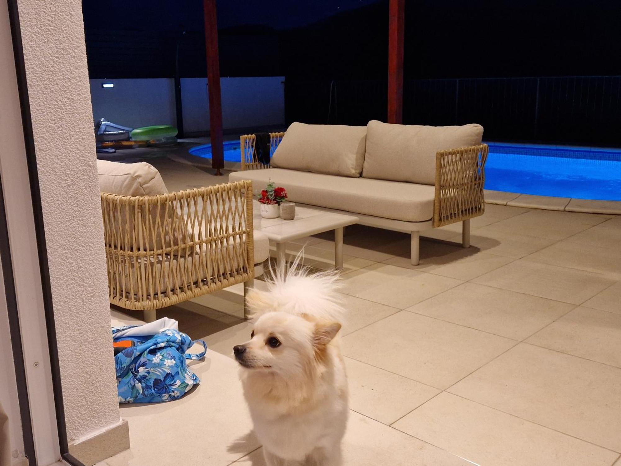 Villa Lucatoni - Heated Pool شيبينيك المظهر الخارجي الصورة